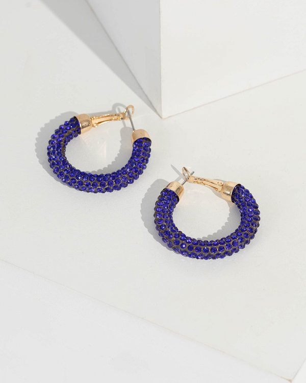 Blue Multi Crystal Hoop Earrings